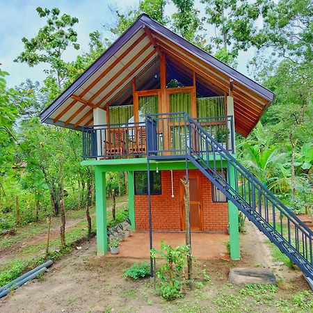 Sigiri Saat Cabana Sigiriya Exteriér fotografie