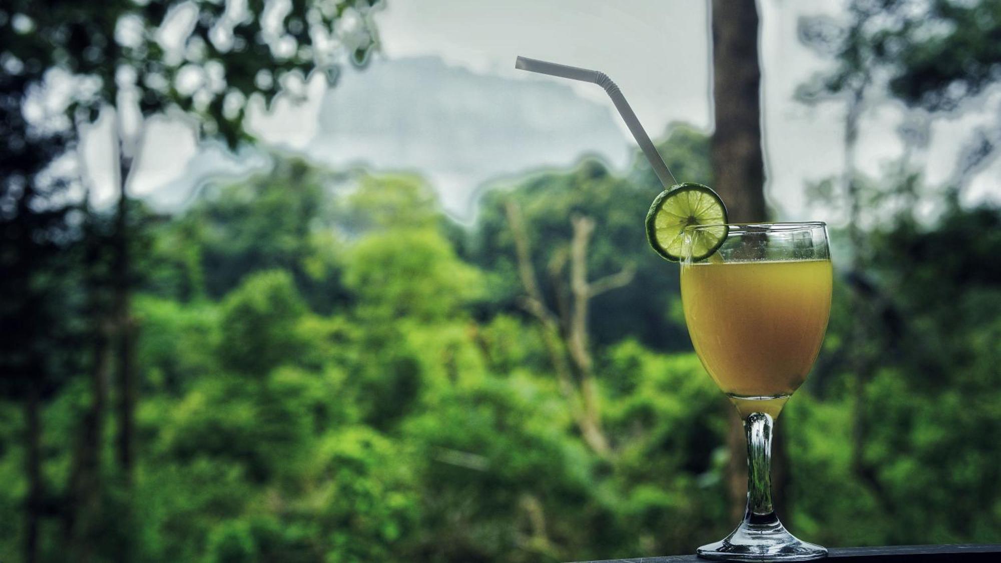 Sigiri Saat Cabana Sigiriya Exteriér fotografie
