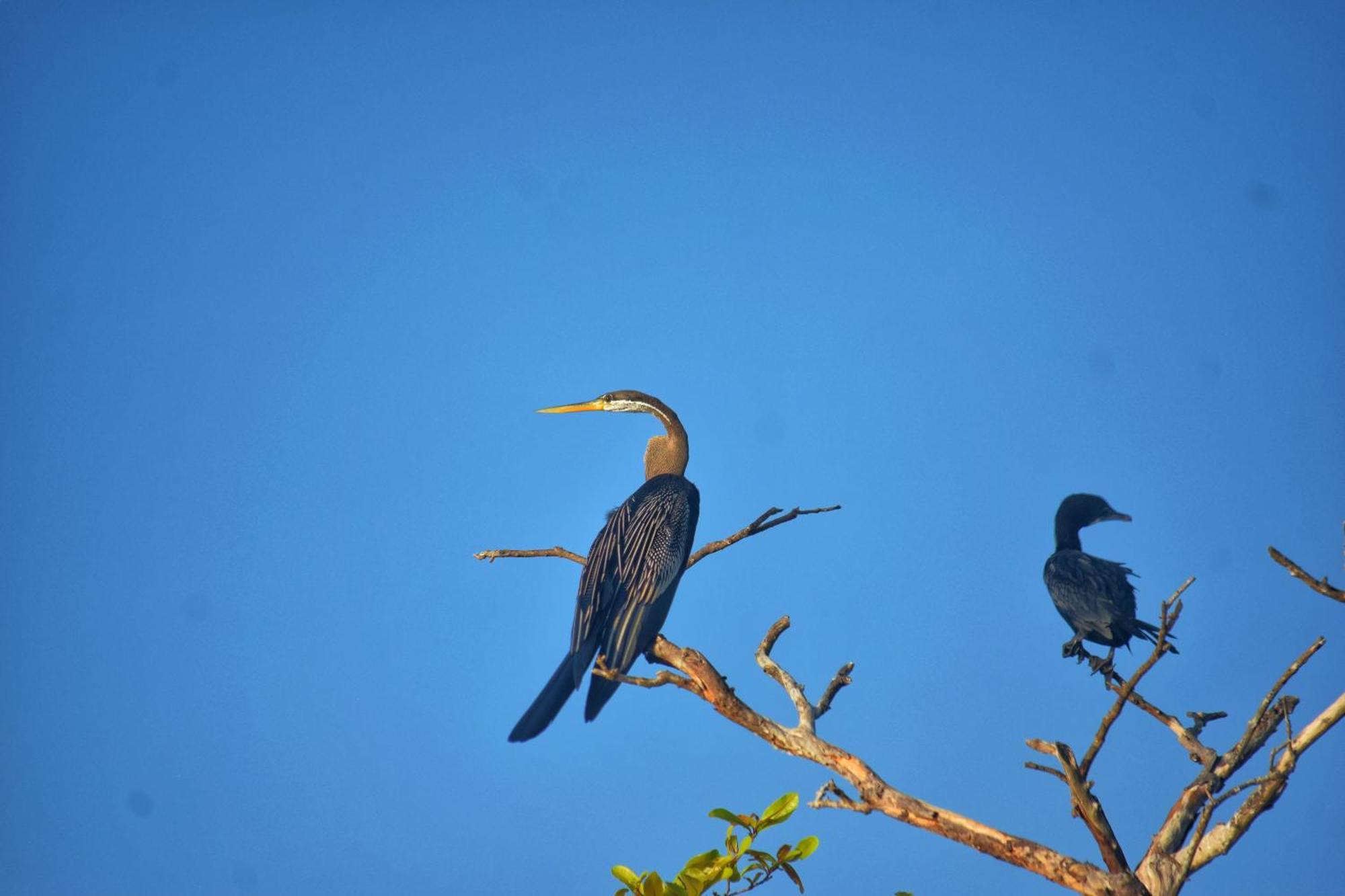 Sigiri Saat Cabana Sigiriya Exteriér fotografie